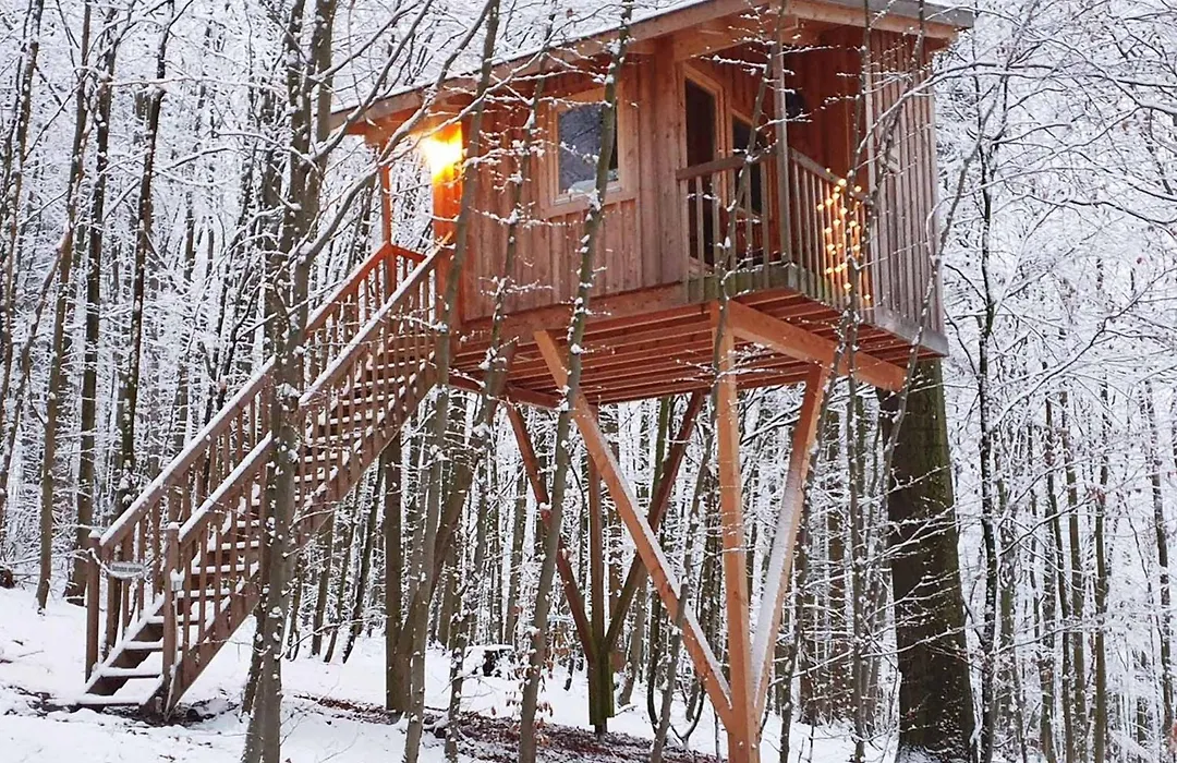 Baumhaushotel Solling-1